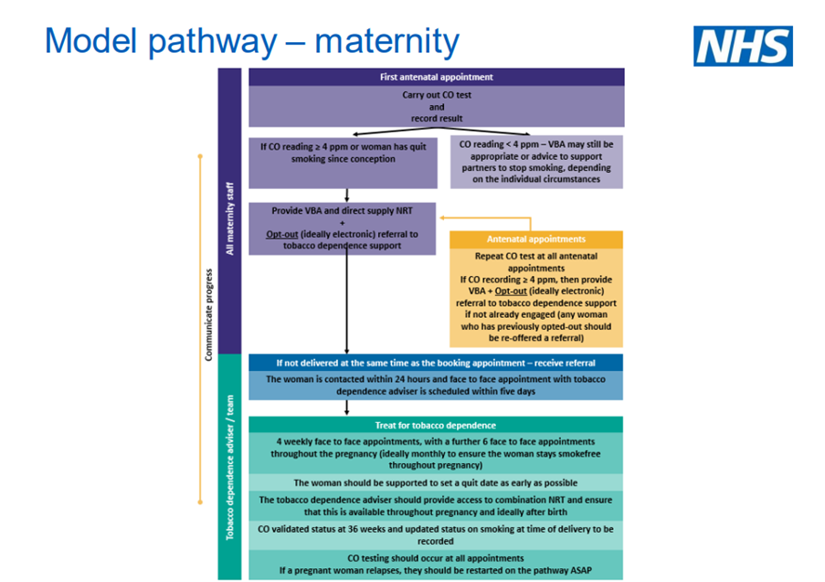 Model pathwat - maternity.png